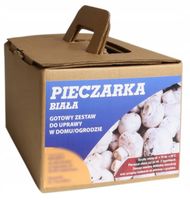 Grzybnia Pieczarka Biała 5kg Najwyższa Jakość
