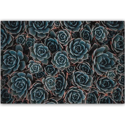 Deco Panel, Agawa meksykańska 60x40 na Arena.pl