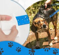 SMYCZ TRENINGOWA DLA PSA DO TRESURY MOCNA TAŚMA LINKA BIOTHANE PVC 10m