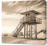 Obraz 70x70cm Strażnik Wydm