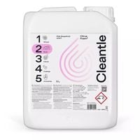 Cleantle Citrus Foam2 5L