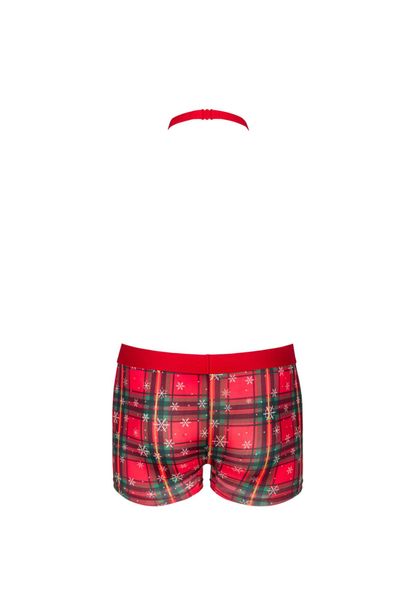 Mr Merrilo Bokserki I Mucha   S/M zdjęcie 6