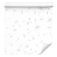 Tapeta do salonu nasiona dmuchawca mlecz rośliny