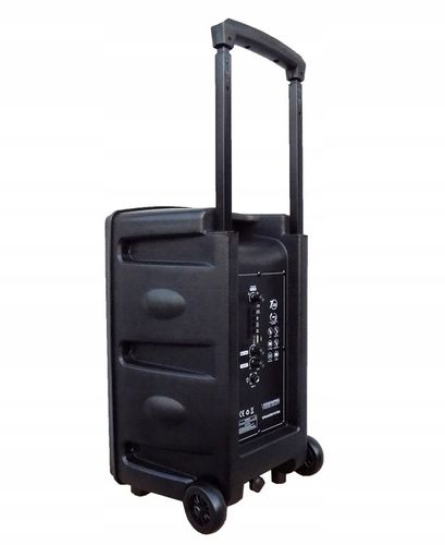 KOLUMNA PRZENOŚNA BLUETOOTH KARAOKE AKUMULATOR USB na Arena.pl