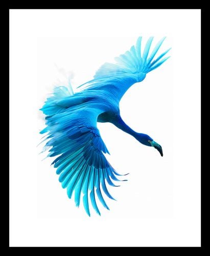 Plakat 15x20cm Błękitny Lot na Arena.pl