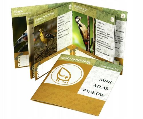 KARMNIK DLA PTAKÓW NA POKARM ZIARNO NA OKNO KULA MAŁY ORNITOLOG Z na Arena.pl