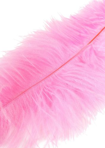 double feather tickler pink na Arena.pl