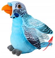 Papuga Interaktywna Powtarza Dla Dzieci Zabawka 20cm Maskotka Przytulanka