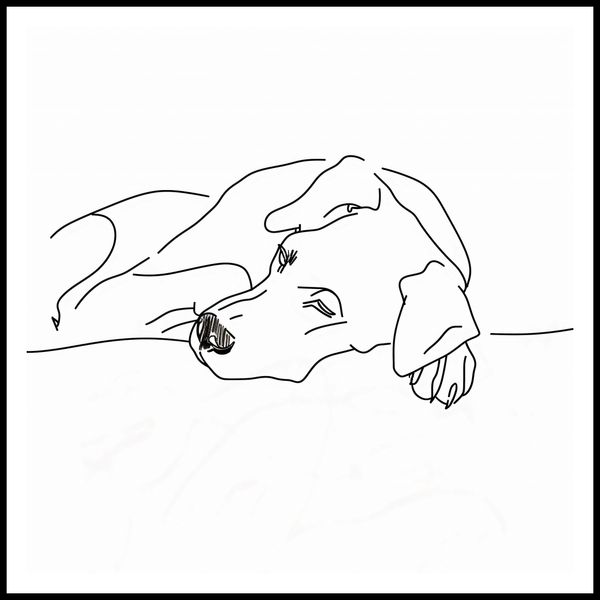 Plakat 80x80cm Wypoczynek Psiaka zdjęcie 3
