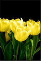 product-compare-58704136