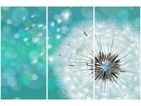 product-compare-58677781