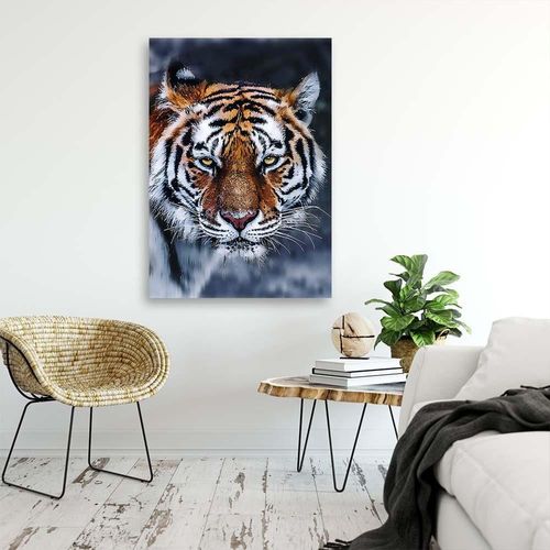 Obraz na płótnie – Canvas, Tygrys 50x70 na Arena.pl