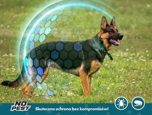 OBROŻA 75CM PRZECIW PCHŁOM KLESZCZOM PASOŻYTOM ROBAKOM DLA PSÓW NO na Arena.pl