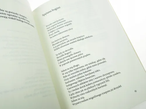 Gałązka rozmarynu na Arena.pl