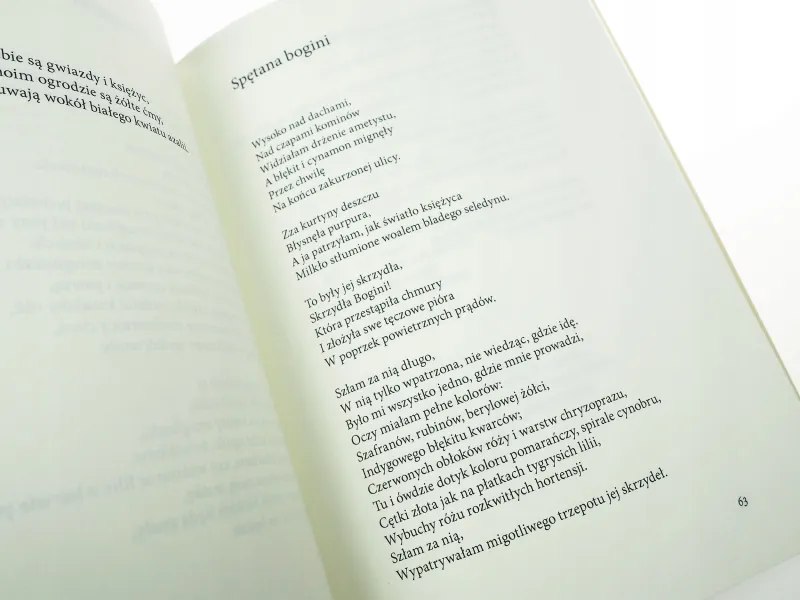 Gałązka rozmarynu zdjęcie 13