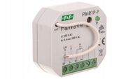 2 x 2 x F&F RADIOWY PRZEKAŹNIK BISTABILNY FW-R1P-P