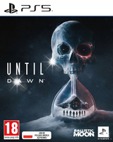 Gra PS5 Until Dawn