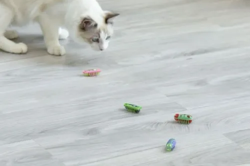 2x Karaluch robak insekt jak hexbug La Cucaracha Zabawka dla kota 4xBateria na Arena.pl