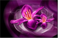 product-compare-58695141