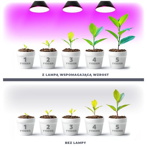 Żarówka czarna LED 9W do Uprawy Roślin E27 do Wzrostu Doświetlania na Arena.pl