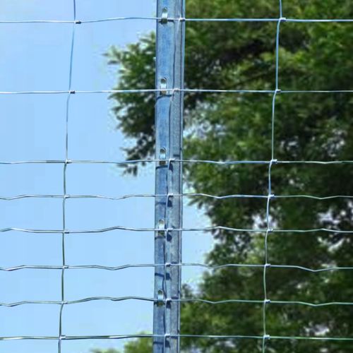 SIATKA LEŚNA ogrodzeniowa 100cm 8/15 L - ROLKA 50m - GRUBY DRUT OCYNKOWANA na Arena.pl