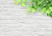 product-compare-62140418