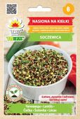 Kiełki Soczewica nasiona 20 g