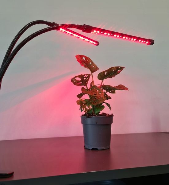 2 x Lampa do Wzrostu Roślin Uprawy 40 LED Panel Timer + Pilot zdjęcie 12
