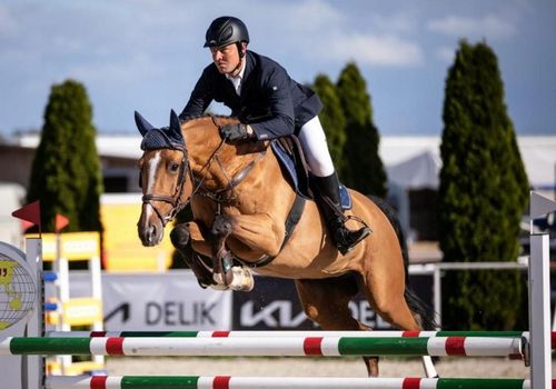 SUSZ Z LUCERNY 20KG LUCERNA GRANULOWANA DLA KONI KRÓLIKÓW GRANULAT PELLET na Arena.pl