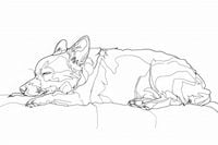 Plakat 45x30cm Śpiący Psiak