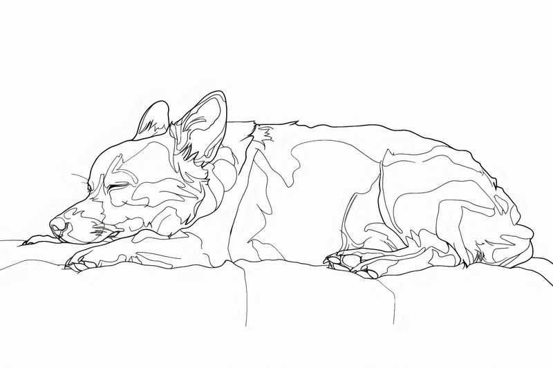 Plakat 45x30cm Śpiący Psiak zdjęcie 1