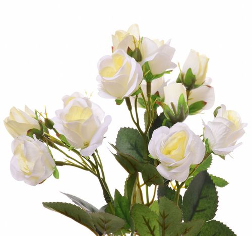 Roże w bukiecie ecri na Arena.pl