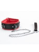 red collar and leash