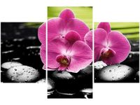 90X60CM OBRAZ STORCZYKI KAMIENIACH TRZY OBRAZY