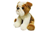 product-compare-58227901