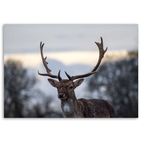 Emaga Obraz na płótnie, Jeleń na łące - 90x60 zdjęcie 3