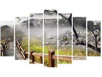 product-compare-58693800