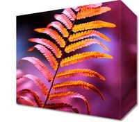 product-compare-59471562