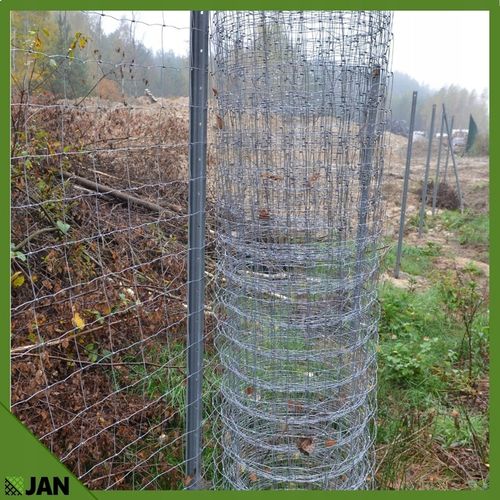 SIATKA LEŚNA 180cm ZAGĘSZCZONA 50m WIRE NET MODEL 180/24/15 L GRATIS GĘSTA na Arena.pl