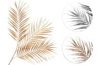 product-compare-64370532