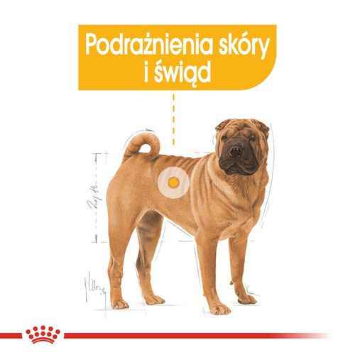 royal canin ccn medium dermacomfort 12kg na Arena.pl