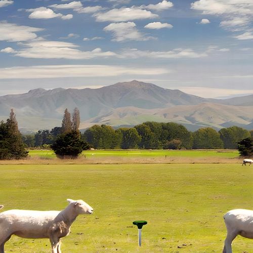 2X ODSTRASZACZ SOLARNY SILNY NA KRETY SZCZURY GRYZONIE KUNY DŹWIĘK na Arena.pl