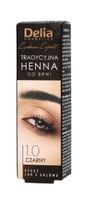 Delia Cosmetics Henna do brwi 1.0 Czarna  1szt