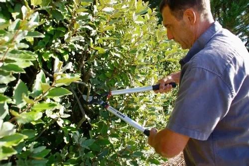 sekator do gałęzi 800mm Bahco P280-SL-80 na Arena.pl