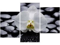 product-compare-58700060