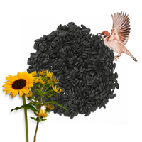 Słonecznik Czarny Drobny 98%  Karma Dla Małych Ptaków Zimowy  5kg