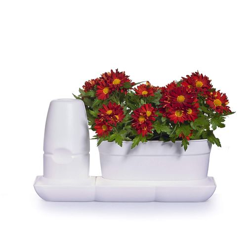 Ogródek domowy Minigarden Basic S Uno - biały na Arena.pl