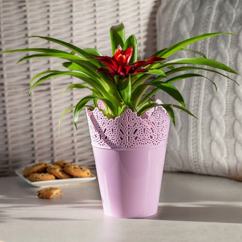 DONICZKA DONICA NA KWIATY OSŁONKA 14,5CM KOLORY na Arena.pl