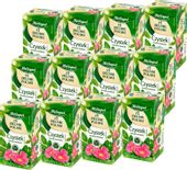 (x12) HERBAPOL Zielnik Czystek 20tb