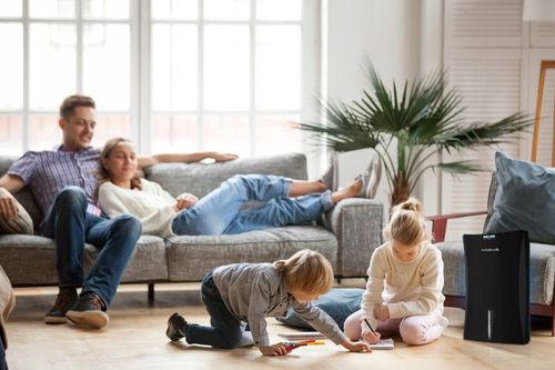 Osuszacz Oczyszczacz Powietrza Pochłaniacz Wilgoci na Arena.pl